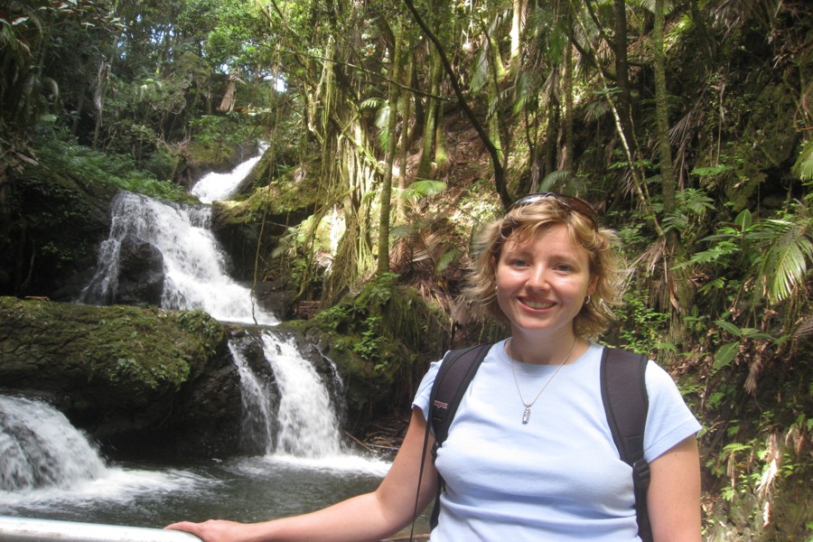 ../image/hawaii tropical botanical garden onomea falls 2.jpg